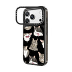 ugly cats