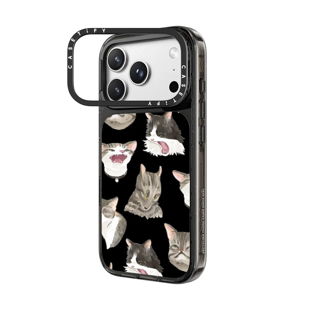 ugly cats