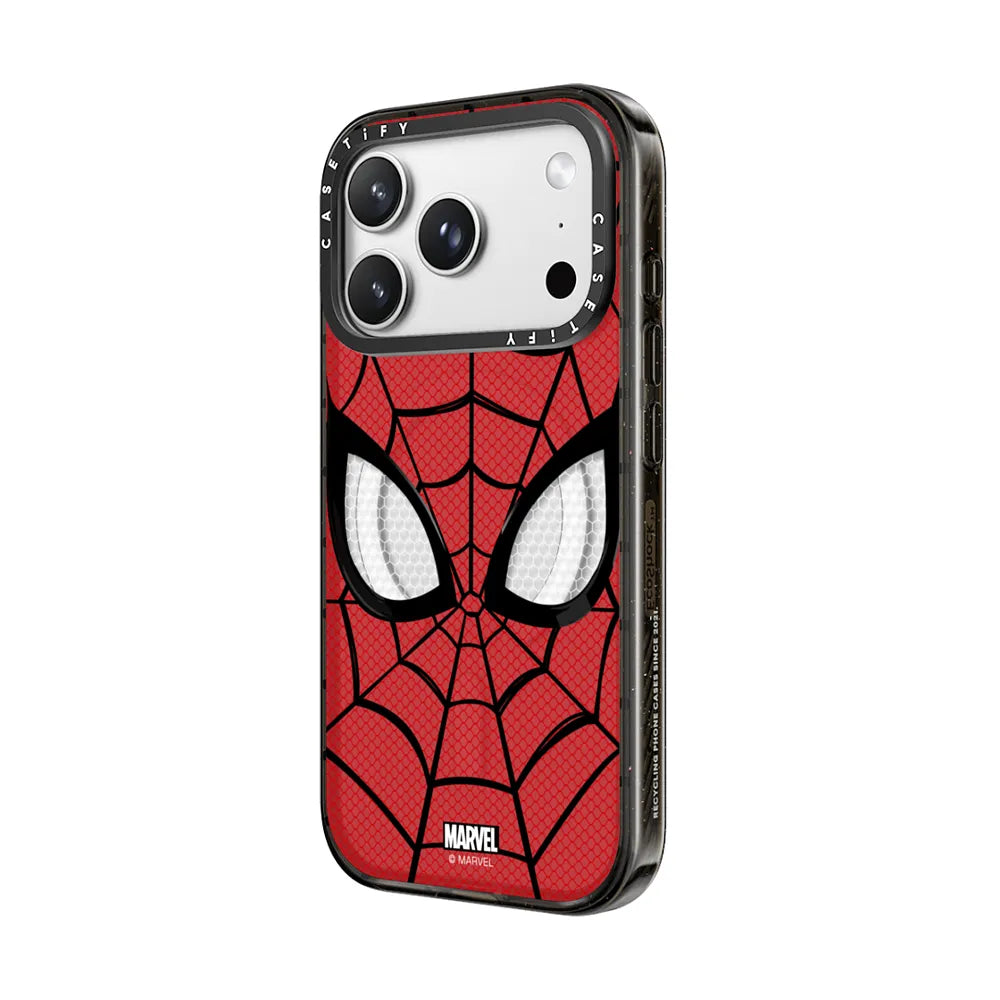 Spider-Man Mask Case
