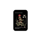 NMK Cockscomb and Scarabs Snappy Cardholder Stand