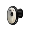 Polar Bear | PowerThru Wireless Car Charger / PowerThru Wireless Car Charger MagSafe Compatible  / Black | Image 1
