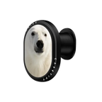 Polar Bear | PowerThru Wireless Car Charger / PowerThru Wireless Car Charger MagSafe Compatible  / Black | Image 1