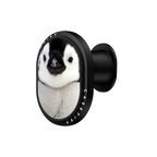 Penguin | PowerThru Wireless Car Charger / PowerThru Wireless Car Charger MagSafe Compatible  / Black | Image 1