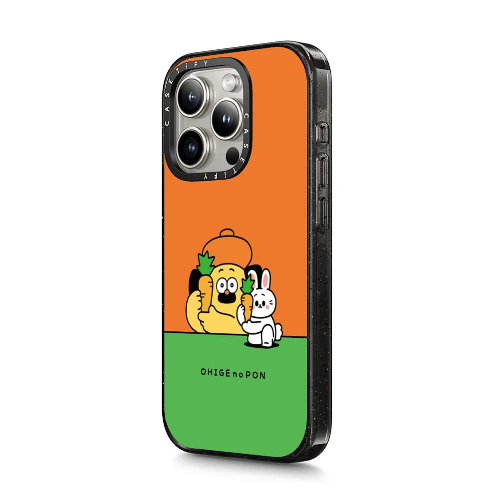 Pon and Rabbit Case