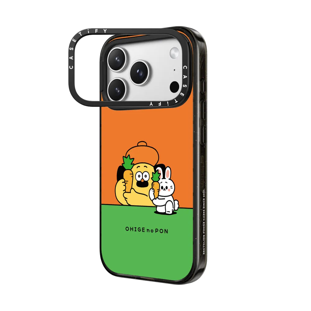 Pon and Rabbit Case