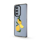 Composition Citrons