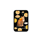 Flying Orange Cat