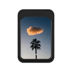 One Palm One Cloud