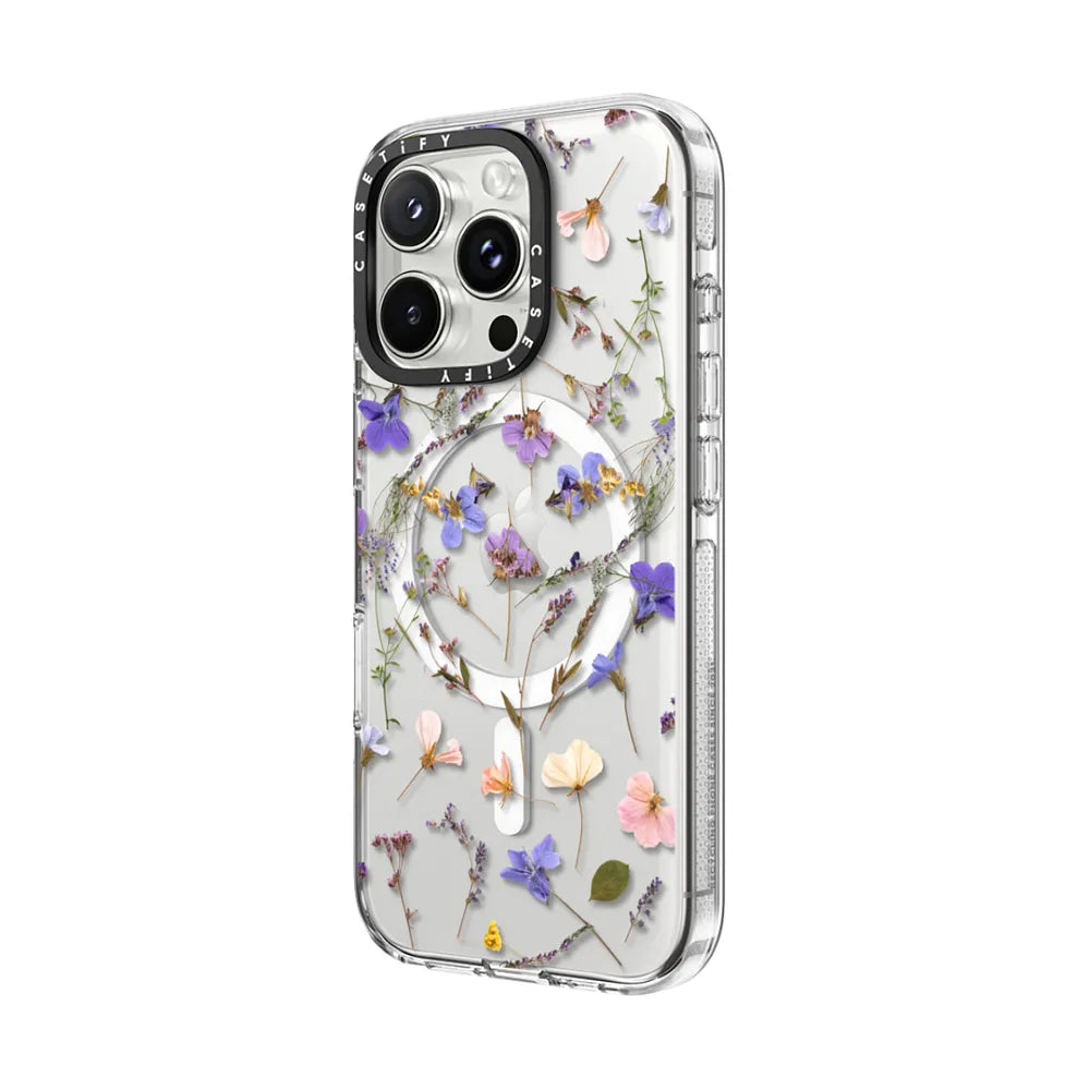 Pressed flowers Violet