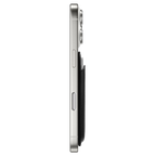 Shelly Bear In Lovely Day