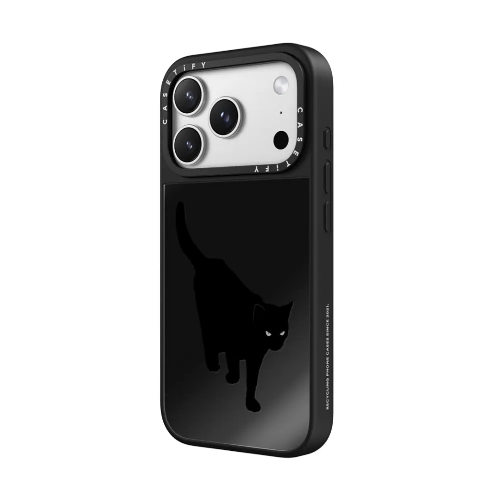 Spooky Black Cat