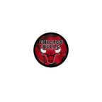 Chicago Bulls Grip Stand