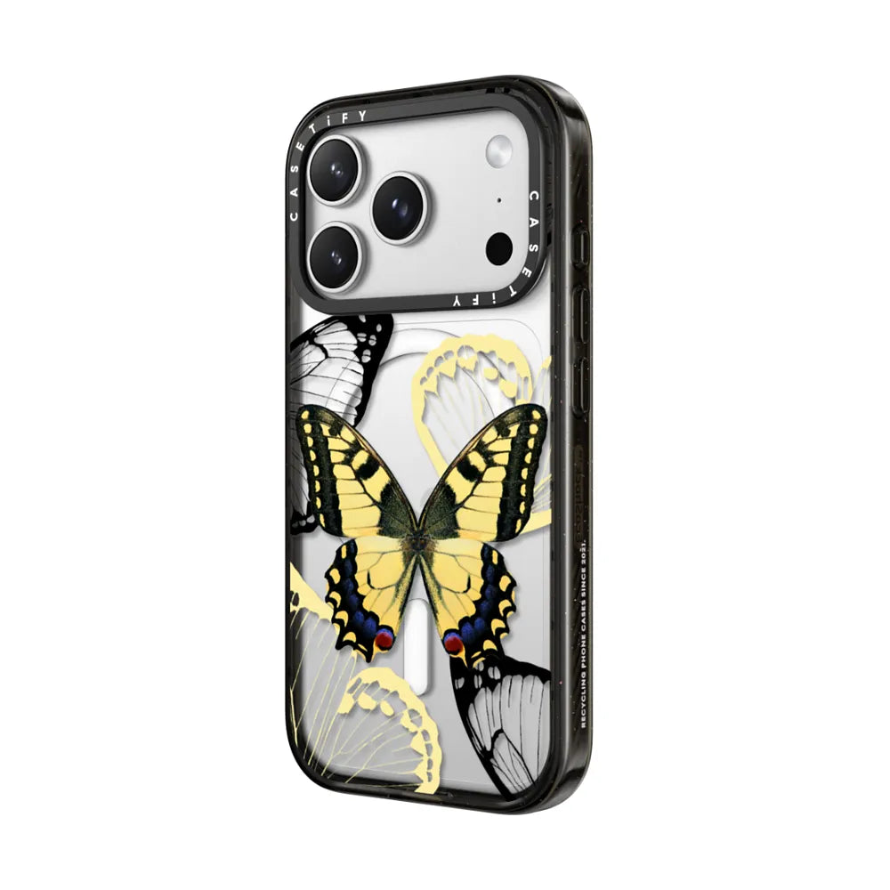 Specimen Butterfly Case
