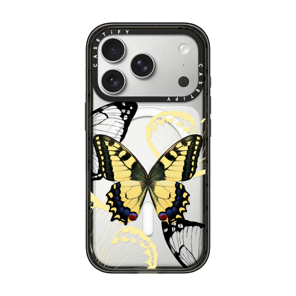 Specimen Butterfly Case | Image 1