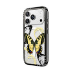 Specimen Butterfly Case