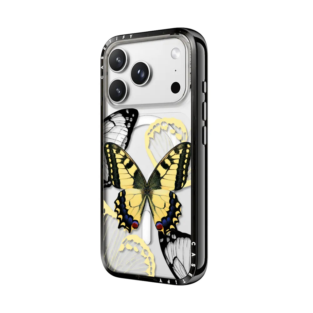 Specimen Butterfly Case