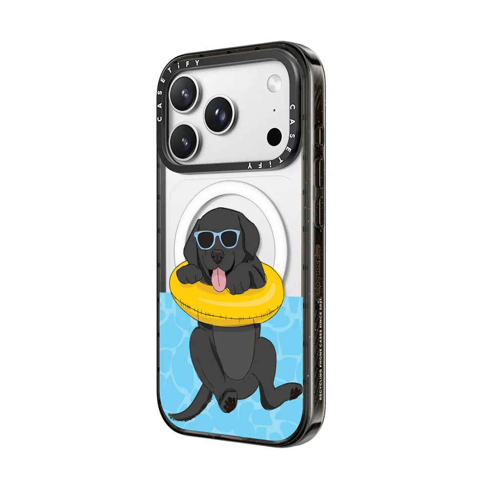 Swimming Black Labrador