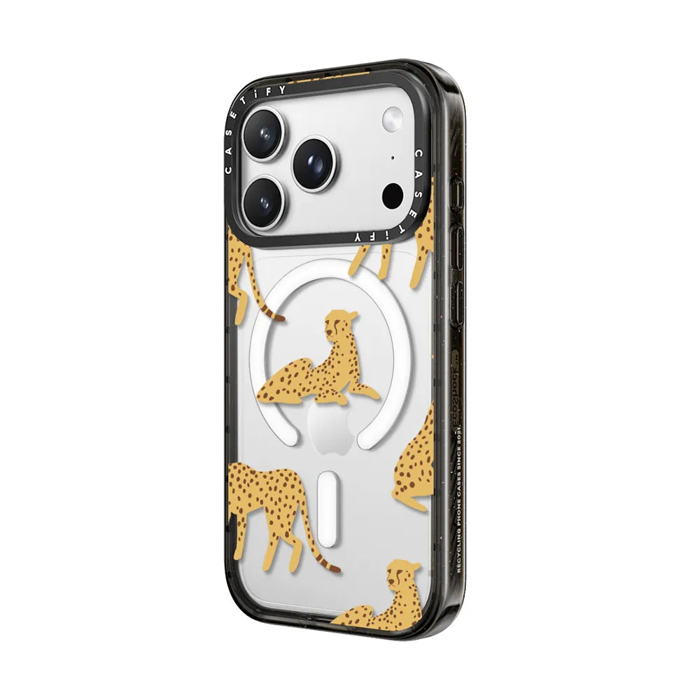 Cheetah Power