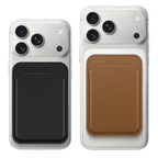 Daisies in Summer